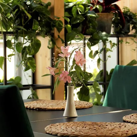 Szálloda Platinum Boutique