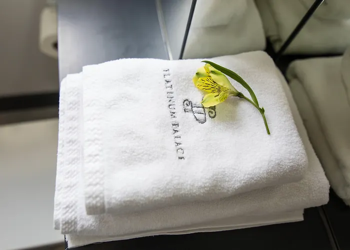 Hotel Platinum Boutique 4*