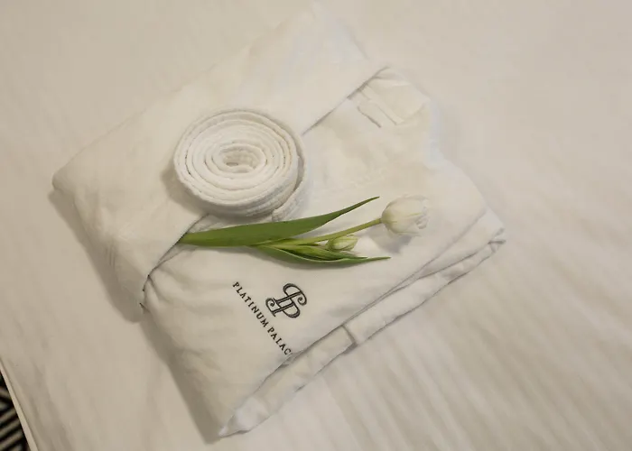 Platinum Boutique Hotel 4*